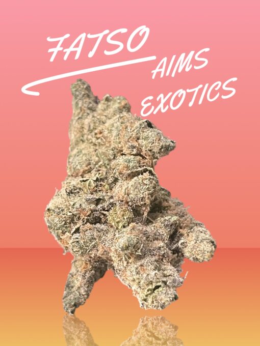 FATSO 3.5G INDICA EXOTICS 36%THC 🏆🏆(AIMS) RARE