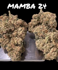 MAMBA 🖤 24 3.5G INDICA EXOTICS 25%THC 🔥🔥