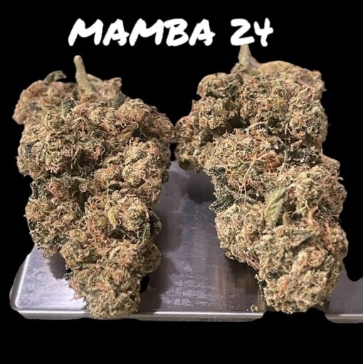 MAMBA 🖤 24 3.5G INDICA EXOTICS 25%THC 🔥🔥