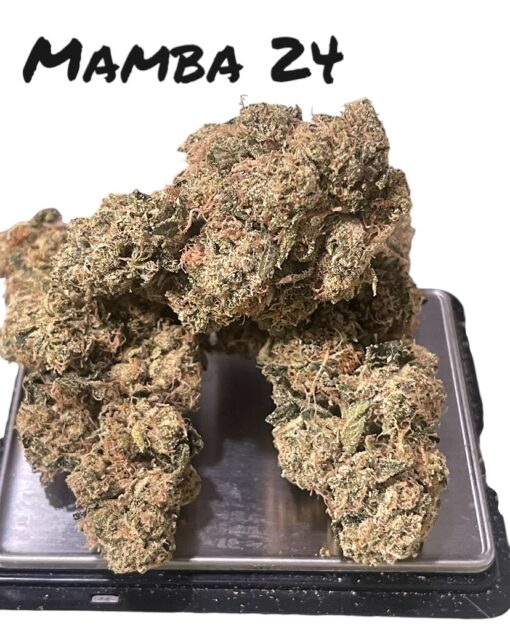 MAMBA 🖤 24 3.5G INDICA EXOTICS 25%THC 🔥🔥 - Image 4