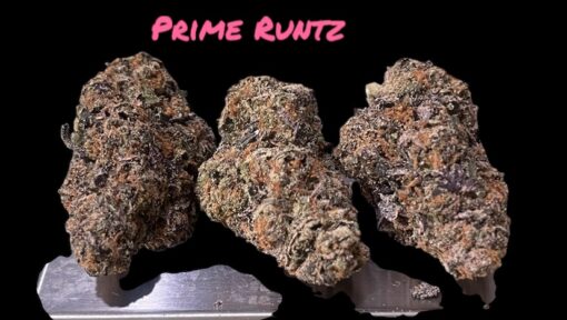 PRIME RUNTZ 3.5grams HYBRID 31%THC 🔥🔥 - Image 4