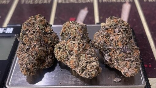 PRIME RUNTZ 3.5grams HYBRID 31%THC 🔥🔥 - Image 3