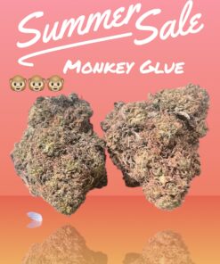 MONKEY GLUE 4grams 🔥🏝️SUMMER SALE🏝️🔥30%THC HYBRID
