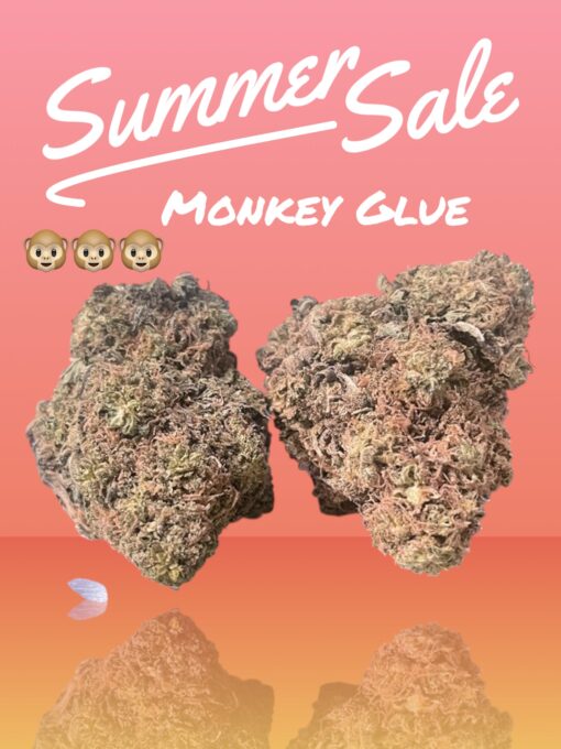 MONKEY GLUE 4grams 🔥🏝️SUMMER SALE🏝️🔥30%THC HYBRID