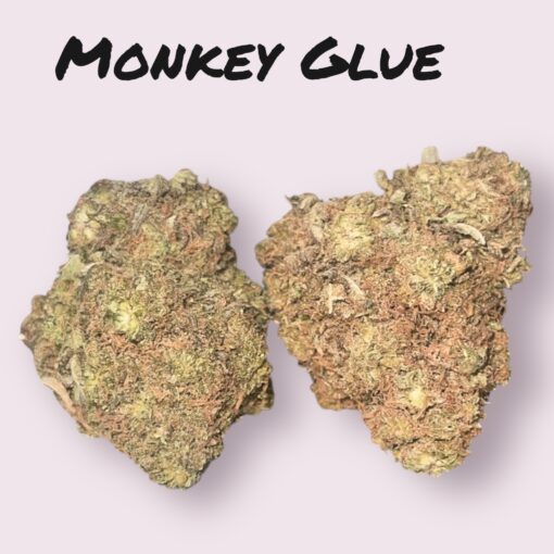 MONKEY GLUE 4grams 🔥🏝️SUMMER SALE🏝️🔥30%THC HYBRID - Image 2
