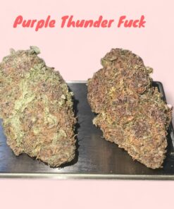 PURPLE THUNDER FUCK 3.5G SATIVA RARE 30%THC 🔥🔥 🏝️🔥SUMMER SALE🏝️🔥
