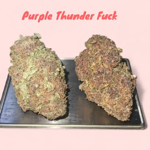 PURPLE THUNDER FUCK 3.5G SATIVA RARE 30%THC 🔥🔥 🏝️🔥SUMMER SALE🏝️🔥