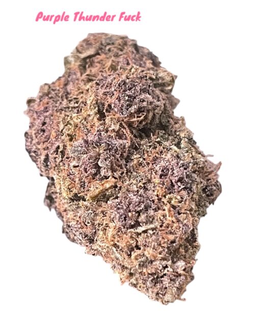 PURPLE THUNDER FUCK 3.5G SATIVA RARE 30%THC 🔥🔥 🏝️🔥SUMMER SALE🏝️🔥 - Image 2