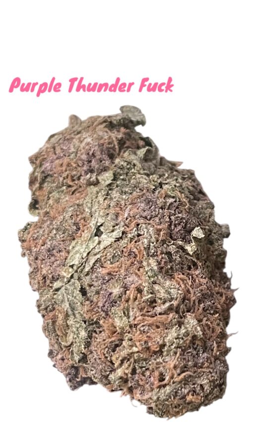 PURPLE THUNDER FUCK 3.5G SATIVA RARE 30%THC 🔥🔥 🏝️🔥SUMMER SALE🏝️🔥 - Image 3