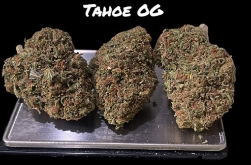 TAHOE OG 28grams INDICA 28% THC 🔥🔥 - Image 2