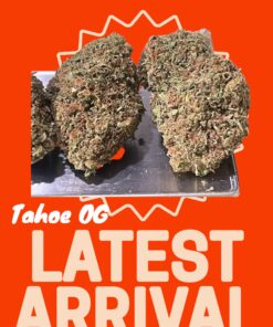 TAHOE OG 28grams INDICA 28% THC 🔥🔥