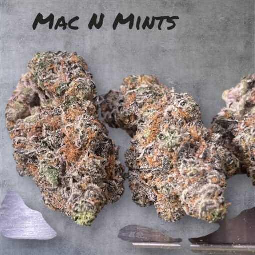 MAC N MINTS 28g EXOTICS 37%THC (BACKPACK BOYS) INDICA 🔥🔥🏆🏆 EXOTIC RARE - Image 3