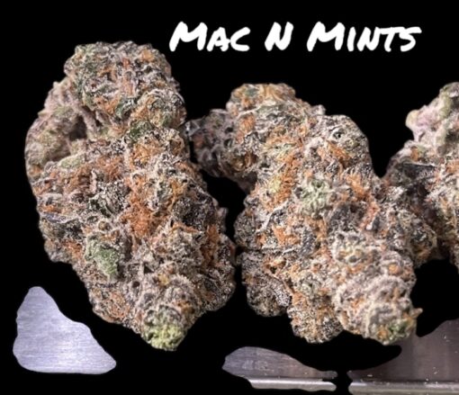 MAC N MINTS 28g EXOTICS 37%THC (BACKPACK BOYS) INDICA 🔥🔥🏆🏆 EXOTIC RARE - Image 2