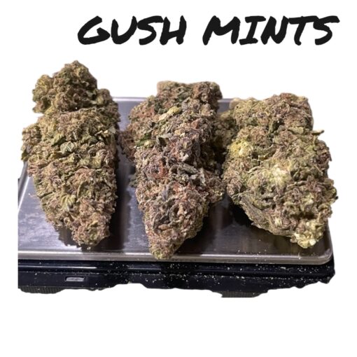 GUSH MINTS28g OZ ON SALE $100 25% THC INDICA 🔥🔥