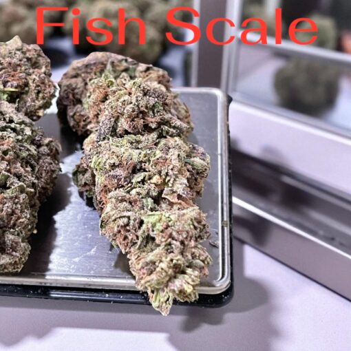 FISH SCALE 28grams Oz on SALE 26%THC HYBRID - Image 2