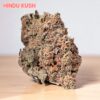 HINDU KUSH 4GRAMS INDICA 🏝️🔥SUMMER SALE🏝️🔥 31%THC