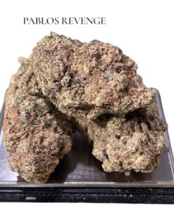 PABLOS REVENGE 4 GRAMS HYBRID 🏝️🔥SUMMER SALE🏝️🔥 30%THC