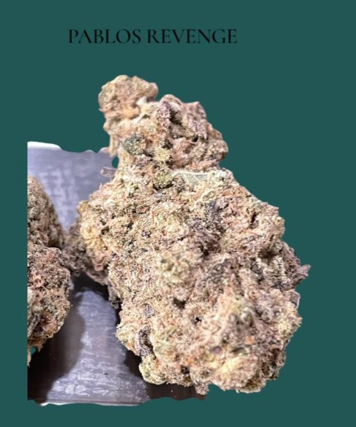 PABLOS REVENGE 4 GRAMS HYBRID 🏝️🔥SUMMER SALE🏝️🔥 30%THC - Image 2