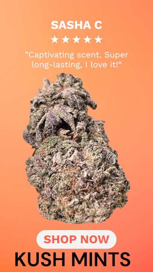 KUSH MINTS 4GRAMS HYBRID 🏝️🔥SUMMER SALae🏝️🔥30%THC - Image 2