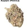 KUSH MINTS 4GRAMS HYBRID 🏝️🔥SUMMER SALae🏝️🔥30%THC