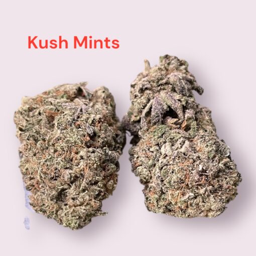 KUSH MINTS 4GRAMS HYBRID 🏝️🔥SUMMER SALae🏝️🔥30%THC - Image 4