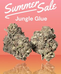 JUNGLE GLUE 4GRAMS HYBRID 🏝️🔥SUMMER SALE🏝️🔥30%THC