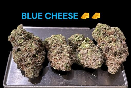 BLUE CHEESE  28grams OZ INDICA ON SALE 28%THC 🏝️🔥 SUMMER SALE🏝️🔥