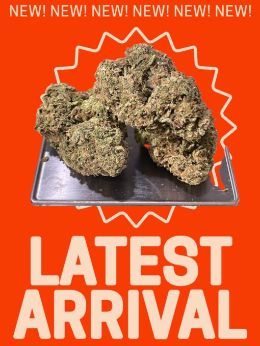 GMO  28g OZ INDICA  29%THC  INDICA 🔥🔥 - Image 3