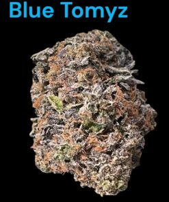 BLUE TOMYZ 28grams SATIVA 36%THC BACKPACK BOYS 🎒🏆🎒