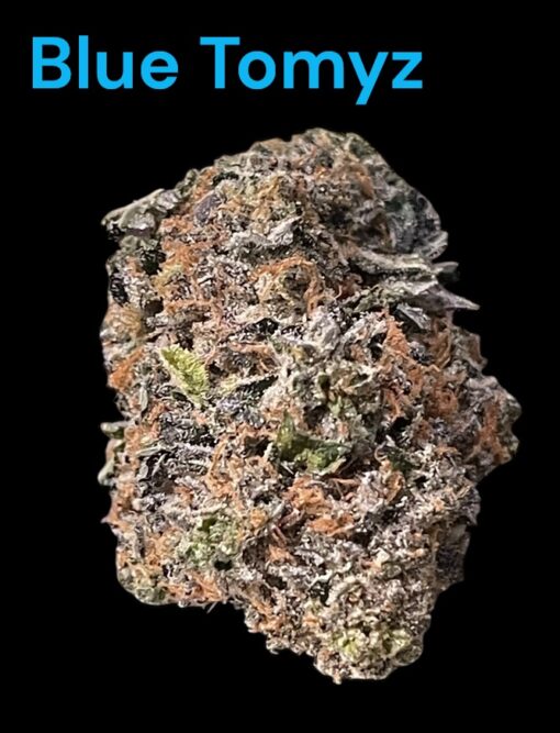 BLUE TOMYZ 28grams SATIVA 36%THC BACKPACK BOYS 🎒🏆🎒