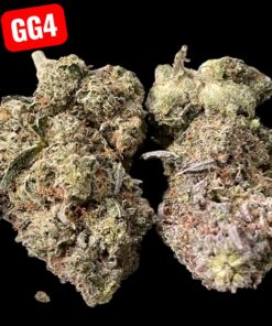 GORILLA GLUE#4 HYBRID 3.5G  🔥🔥31%THC 🏝️🔥LABOR DAY SALE 🏝️🔥