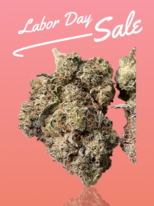 GORILLA GLUE#4 HYBRID 3.5G  🔥🔥31%THC 🏝️🔥LABOR DAY SALE 🏝️🔥 - Image 2
