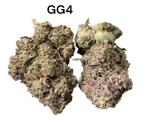 GORILLA GLUE#4 HYBRID 3.5G  🔥🔥31%THC 🏝️🔥LABOR DAY SALE 🏝️🔥 - Image 3