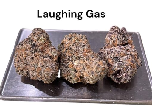 LAUGHING GAS 3.5g HYBRID 3.5g ON SALE 31%THC - Image 2