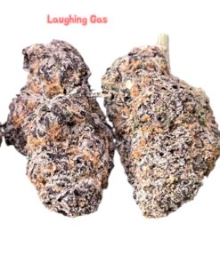LAUGHING GAS 3.5g HYBRID 3.5g ON SALE 31%THC