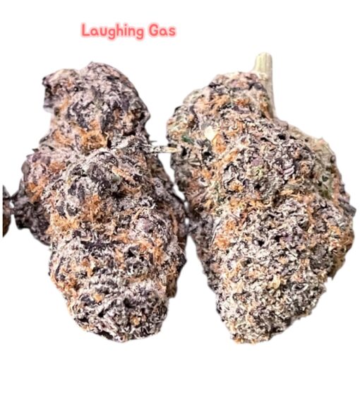 LAUGHING GAS 3.5g HYBRID 3.5g ON SALE 31%THC