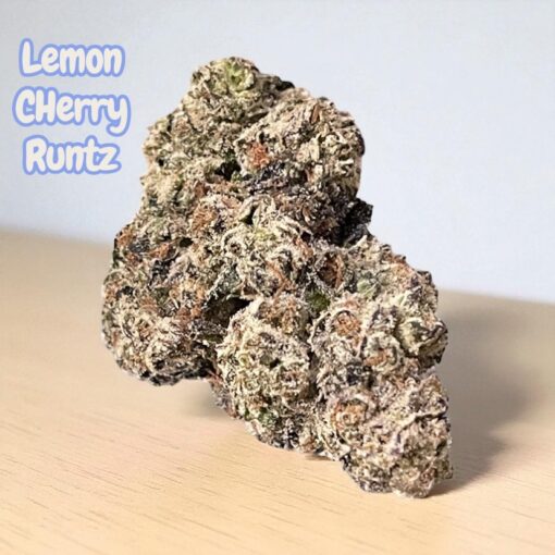 LEMON CHERRY RUNTZ 3.5G HYBRID 31%THC 🏝️🔥LABOR DAY SALE🏝️🔥