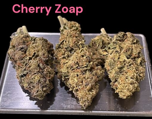 CHERRY ZOAP  7grams QUARTER HYBRID27%THC 🏝️🔥LABOR DAY SALE🏝️🔥