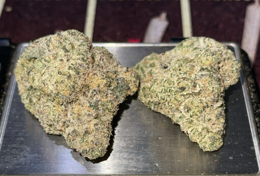 GEMINI 28grams OZ SALE INDICA EXOTICS  🔥🏆 36%THC (ALIEN LABS) LIMITED 🔥🏆 - Image 4