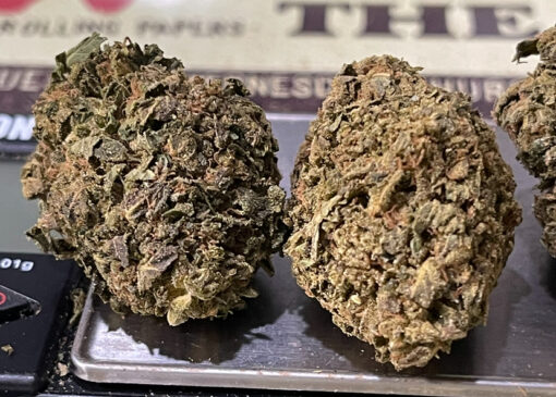 CHOCOLOPE 7GRAMS QUARTER  SATIVA 26%THC  🔥🔥 - Image 4