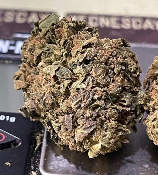 CHOCOLOPE 7GRAMS QUARTER  SATIVA 26%THC  🔥🔥 - Image 3