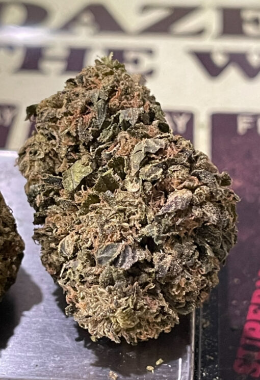 CHOCOLOPE 7GRAMS QUARTER  SATIVA 26%THC  🔥🔥 - Image 2