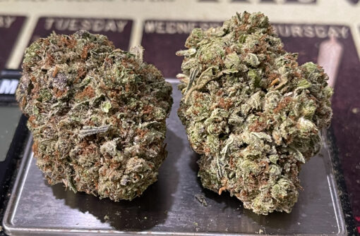 STARDAWG 28grams OZ ON SALE INDICA 26%THC - Image 3