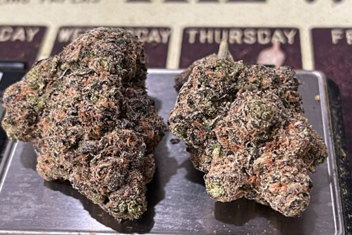 GATORS BREATH 3.5G INDICA 36%THC 🔥🔥EXOTICS - Image 4