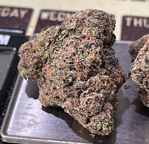 GATORS BREATH 3.5G INDICA 36%THC 🔥🔥EXOTICS - Image 2