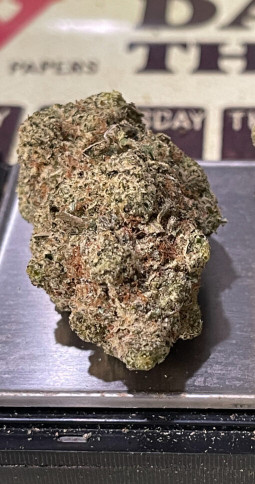 SOUR GORILLA 3.5grams SATIVA 36%THC OLD SCHOOL STRAIN  SMALL BATCH  🏆🏆 - Image 4