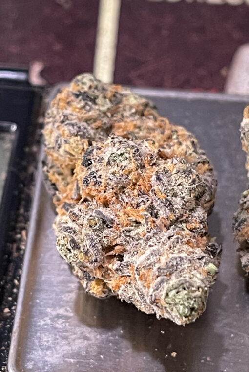 ELECTRIC COLADA 28g SATIVA EXOTICS 36%THC (High Frequency) 🔥🔥 - Image 5