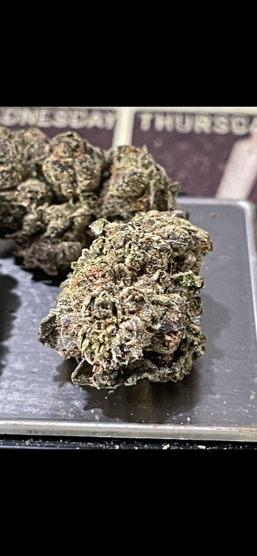 TRUMP OG 7GRAMS QUARTER FALL 🍁SALE  INDICA 26%THC - Image 5