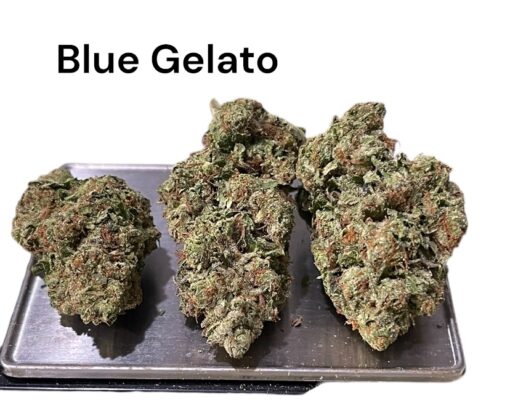 BLUE GELATO41 HYBRID 28grams OZ ON SALE 26%THC HYBRiD 🔥🔥 - Image 3