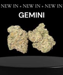 GEMINI 28grams OZ SALE INDICA EXOTICS  🔥🏆 36%THC (ALIEN LABS) LIMITED 🔥🏆